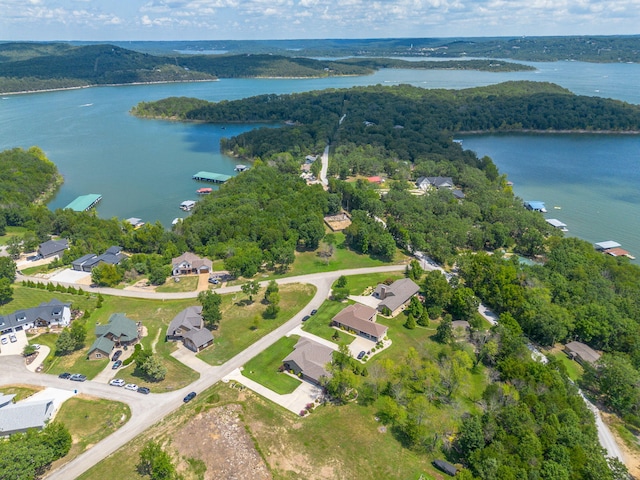 54 Chablis Rd, Lampe, MO 65681 - photo 69
