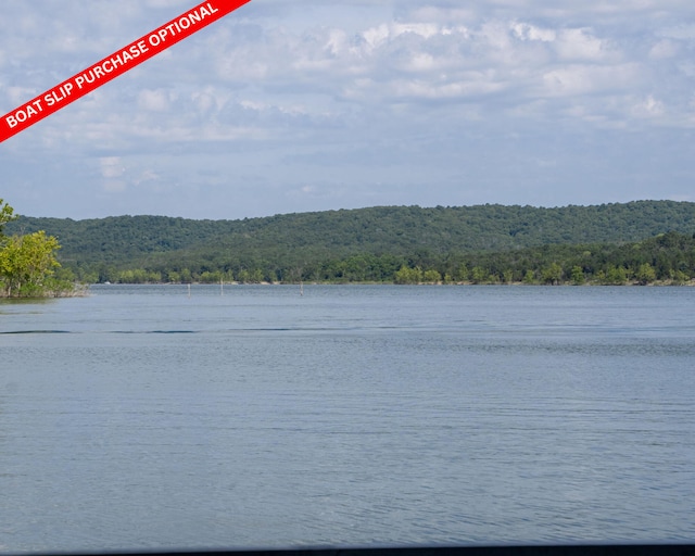 54 Chablis Rd, Lampe, MO 65681 - photo 84