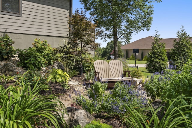 54 Chablis Rd, Lampe, MO 65681 - photo 58