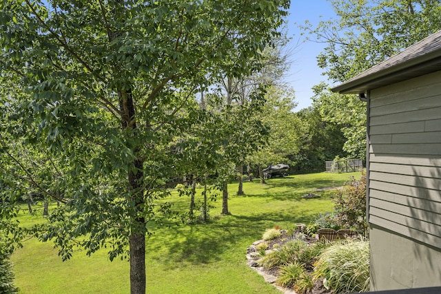 54 Chablis Rd, Lampe, MO 65681 - photo 46