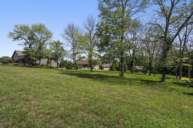 54 Chablis Rd, Lampe, MO 65681 - photo 63