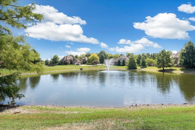 823 E Donegal Cir, Nixa, MO 65714 - photo 59