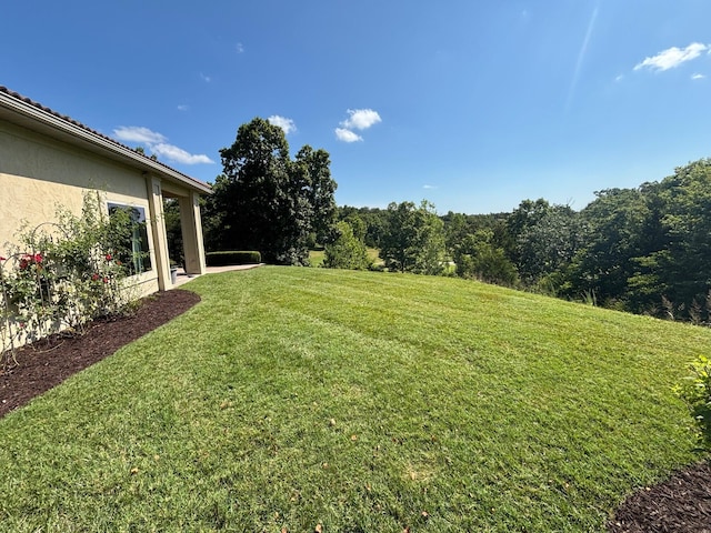 128 Pebble Beach Dr, Branson, MO 65616 - photo 38