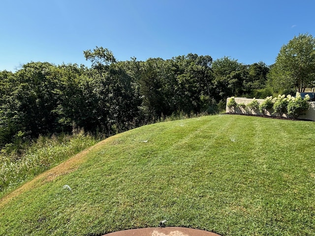 128 Pebble Beach Dr, Branson, MO 65616 - photo 36