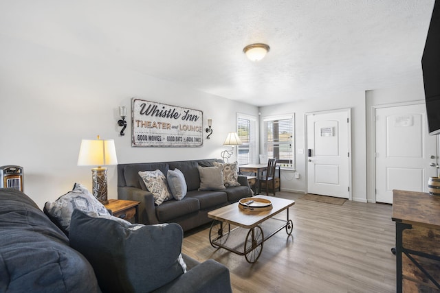 306 W College St, Branson, MO 65616 - photo 8