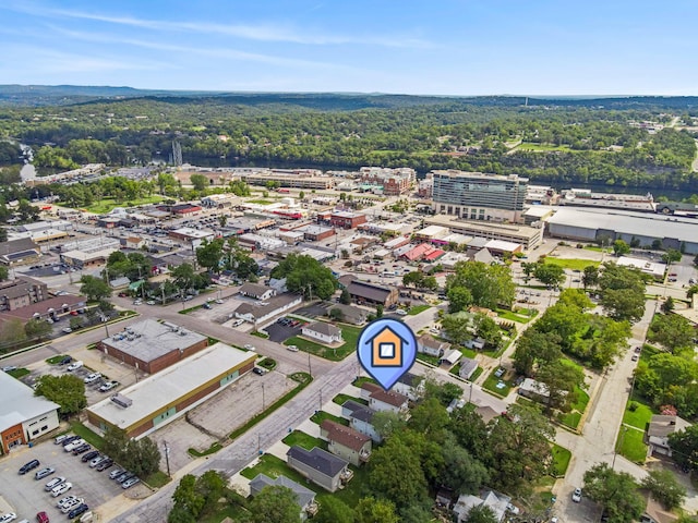 306 W College St, Branson, MO 65616 - photo 32