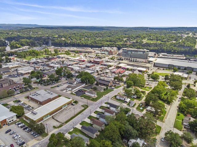 306 W College St, Branson, MO 65616 - photo 31