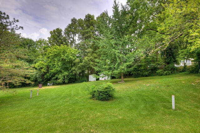 600 W Hickory St, Neosho, MO 64850 - photo 39