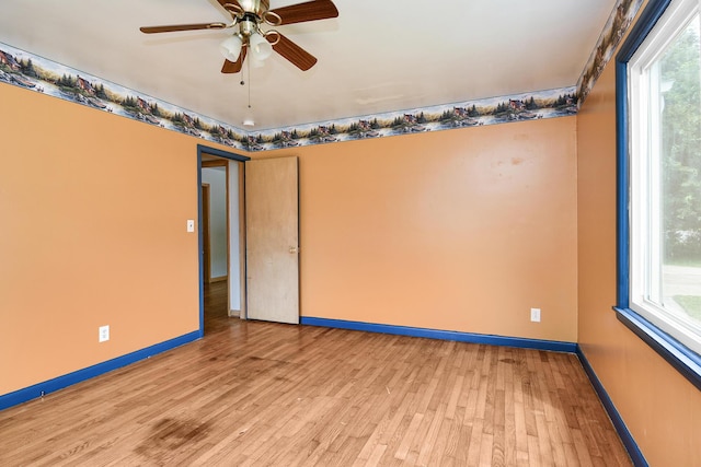 1623 S Link Ave, Springfield, MO 65804 - photo 22
