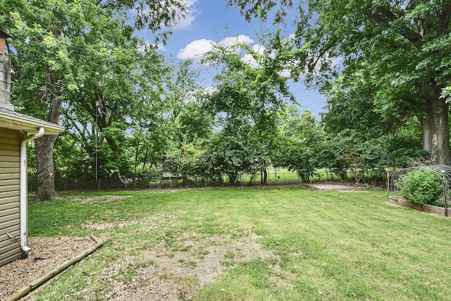1623 S Link Ave, Springfield, MO 65804 - photo 36