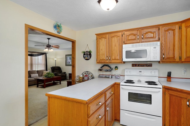 780 Wiseman Rd, Marshfield, MO 65706 - photo 10