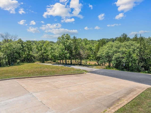 000 State Highway 248, Branson, MO 65616 - photo 6