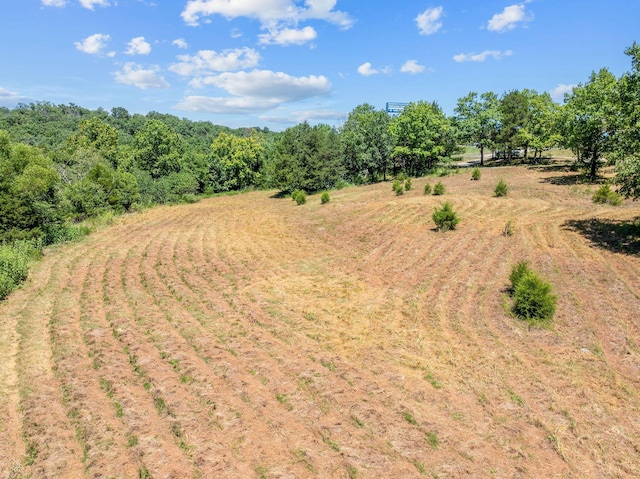 000 State Highway 248, Branson, MO 65616 - photo 13