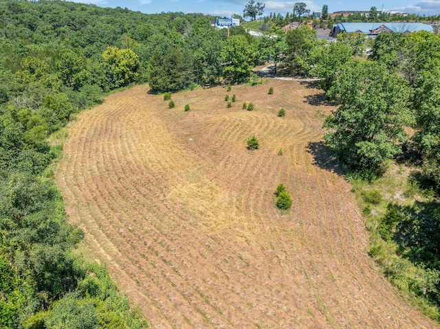 000 State Highway 248, Branson, MO 65616 - photo 10