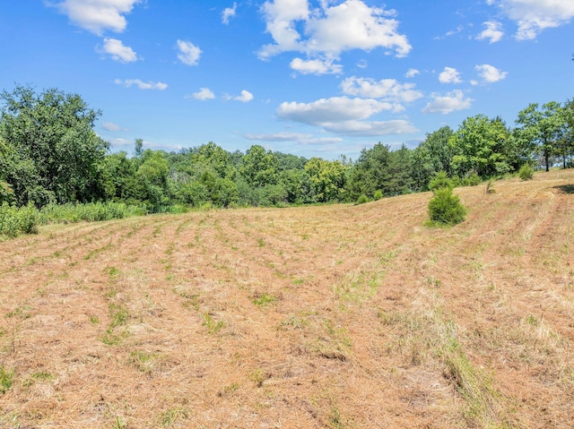 000 State Highway 248, Branson, MO 65616 - photo 12