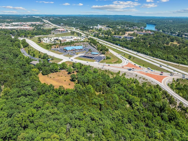 000 State Highway 248, Branson, MO 65616 - photo 19