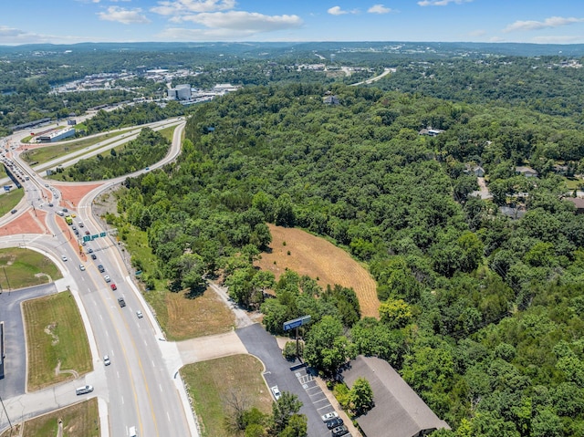 000 State Highway 248, Branson, MO 65616 - photo 15