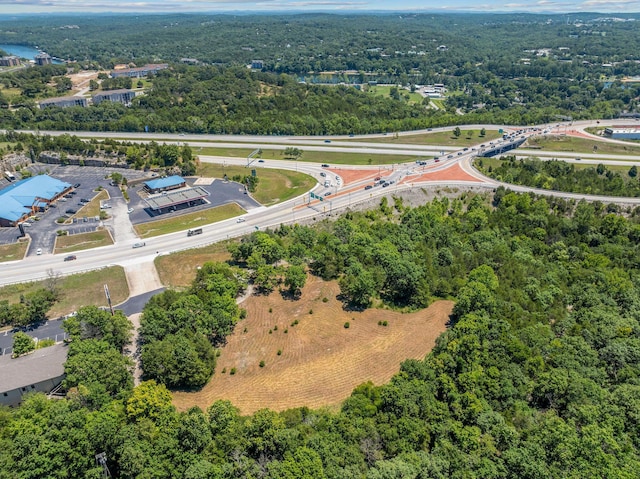 000 State Highway 248, Branson, MO 65616 - photo 20
