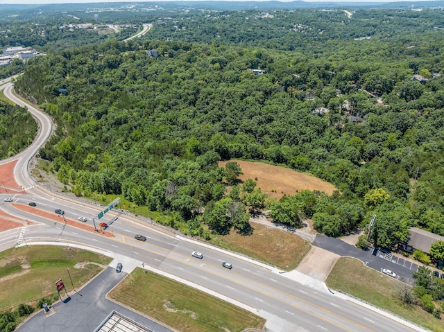 000 State Highway 248, Branson, MO 65616 - photo 5