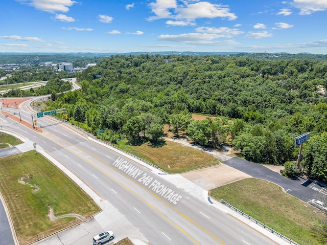 000 State Highway 248, Branson, MO 65616 - photo 17
