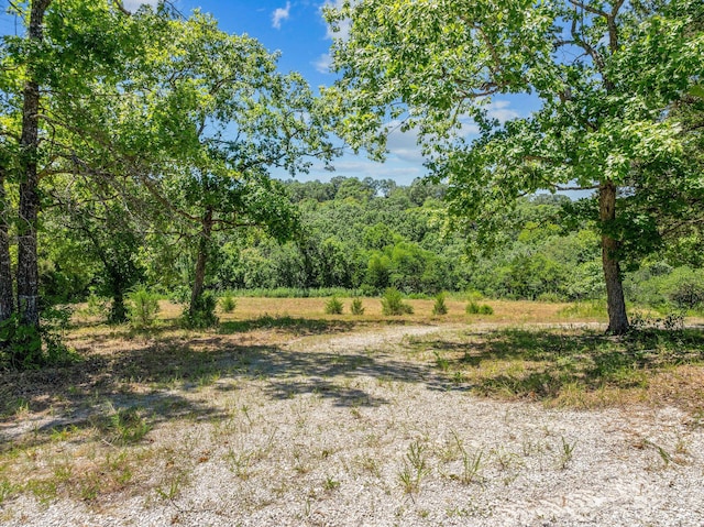 000 State Highway 248, Branson, MO 65616 - photo 7