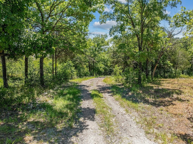 000 State Highway 248, Branson, MO 65616 - photo 8