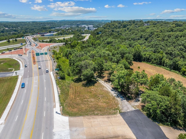 000 State Highway 248, Branson, MO 65616 - photo 2