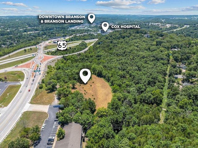 000 State Highway 248, Branson, MO 65616 - photo 3