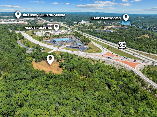 000 State Highway 248, Branson, MO 65616 - photo 4