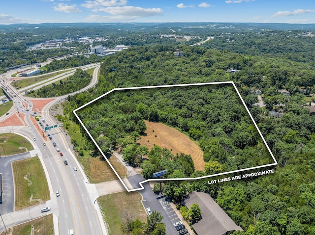 000 State Highway 248, Branson, MO 65616 - photo 1