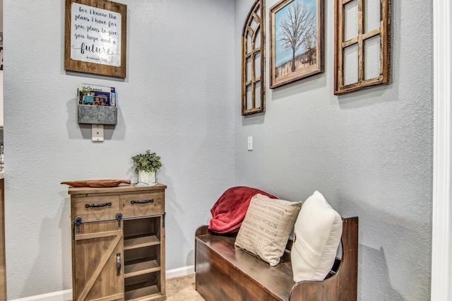 835 Fairview St Unit 12, Branson, MO 65616 - photo 7