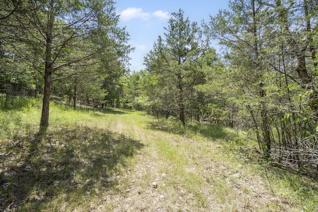 130 Brittain Ct, Kirbyville, MO 65679 - photo 5