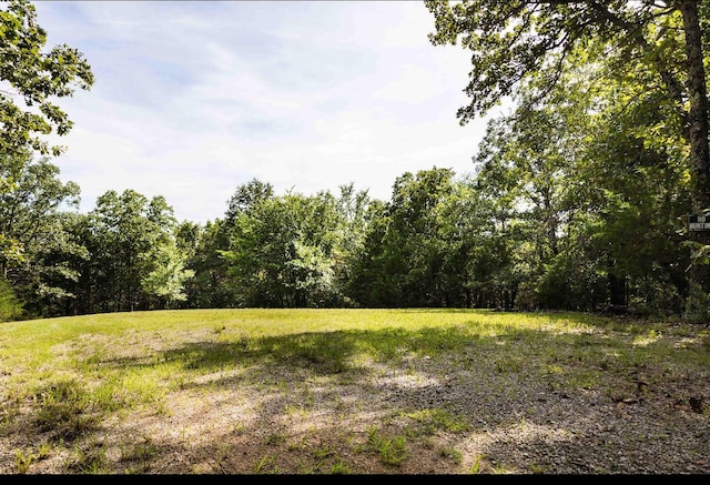 130 Brittain Ct, Kirbyville, MO 65679 - photo 2
