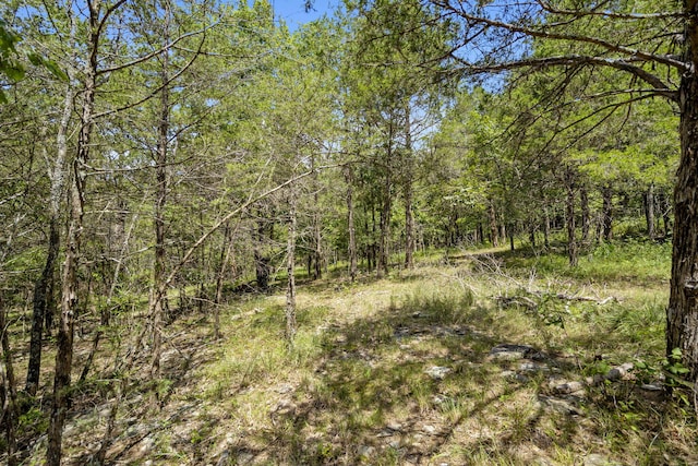 130 Brittain Ct, Kirbyville, MO 65679 - photo 7