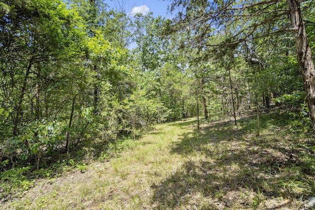 130 Brittain Ct, Kirbyville, MO 65679 - photo 4