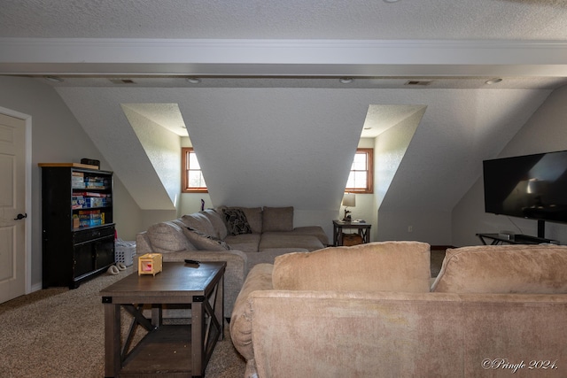 10567 County Road 8130, West Plains, MO 65775 - photo 110