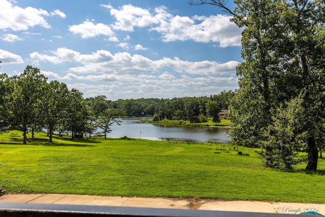 10567 County Road 8130, West Plains, MO 65775 - photo 136