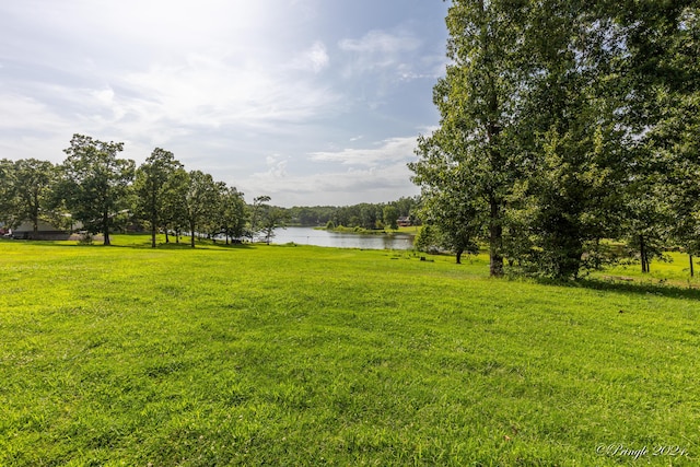 10567 County Road 8130, West Plains, MO 65775 - photo 152