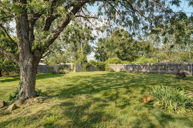 2455 W Roxbury St, Springfield, MO 65807 - photo 24