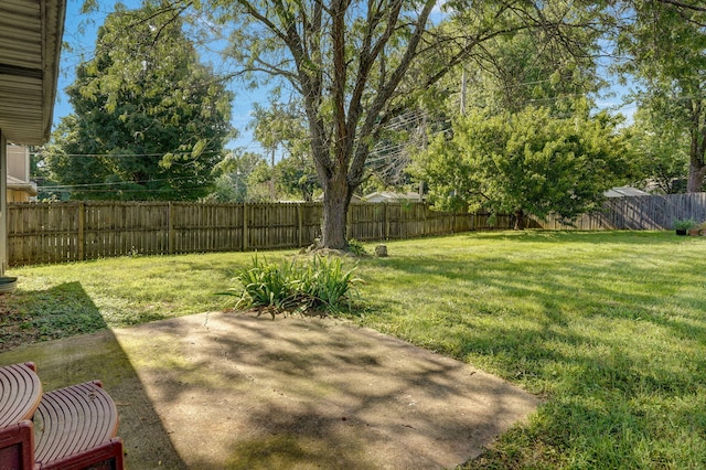 2455 W Roxbury St, Springfield, MO 65807 - photo 21
