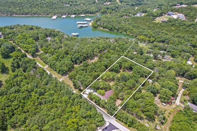 1101 Lake Bluff Dr, Branson West, MO 65737 - photo 4