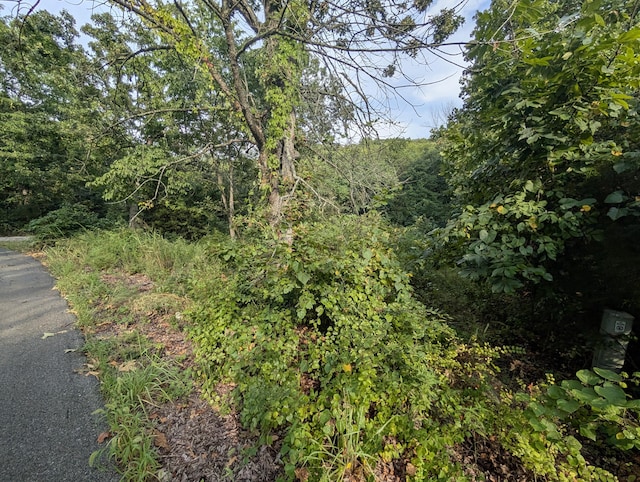 LOT9 Azalea Ln, Branson West, MO 65737 - photo 5