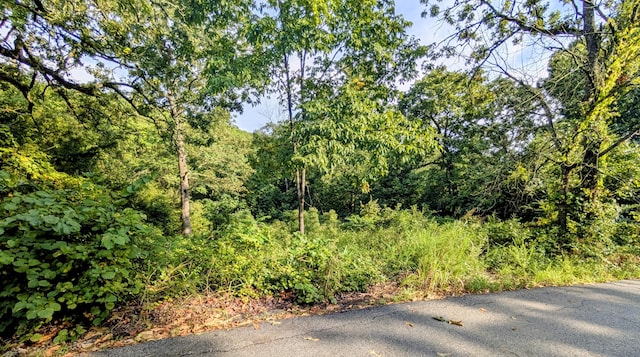 LOT9 Azalea Ln, Branson West, MO 65737 - photo 1