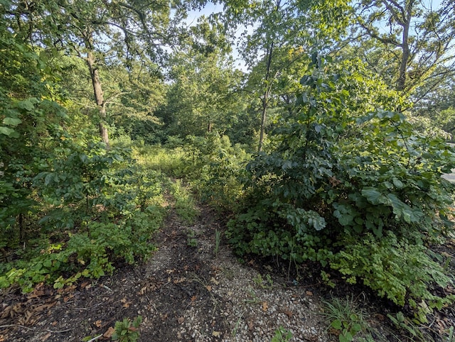 LOT9 Azalea Ln, Branson West, MO 65737 - photo 2