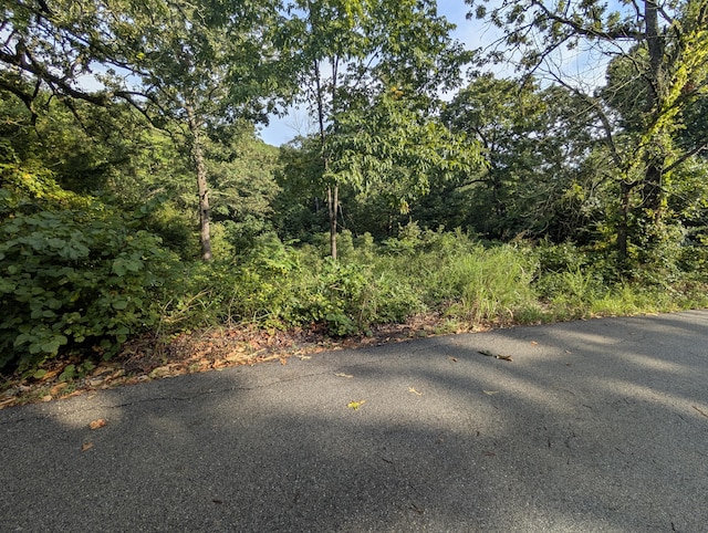 LOT9 Azalea Ln, Branson West, MO 65737 - photo 3