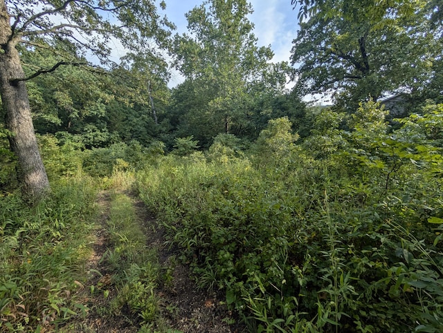 LOT9 Azalea Ln, Branson West, MO 65737 - photo 4