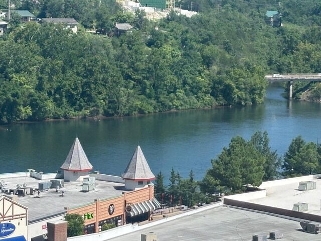 200 S Sycamore St Unit 1213, Branson, MO 65616 - photo 5