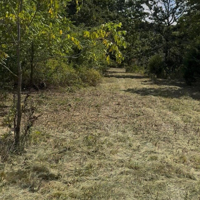 000 Farm Rd Unit 1130, Verona, MO 65769 - photo 4
