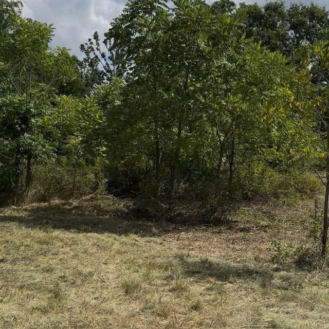000 Farm Rd Unit 1130, Verona, MO 65769 - photo 3