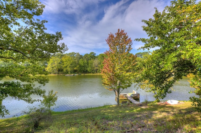 11802 Emden Ln, Racine, MO 64858 - photo 4